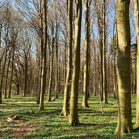 Appartementanlage Lancken-Granitz