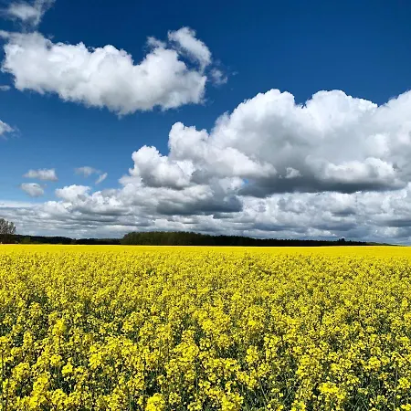 Appartementanlage Apartmán *